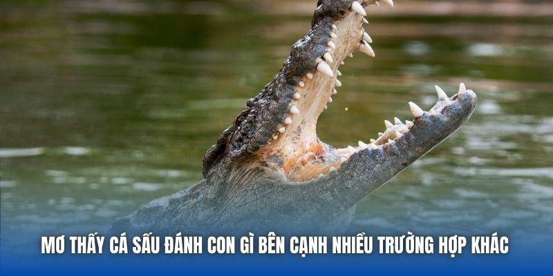 Mơ thấy cá sấu đánh con gì bên cạnh nhiều trường hợp khác 