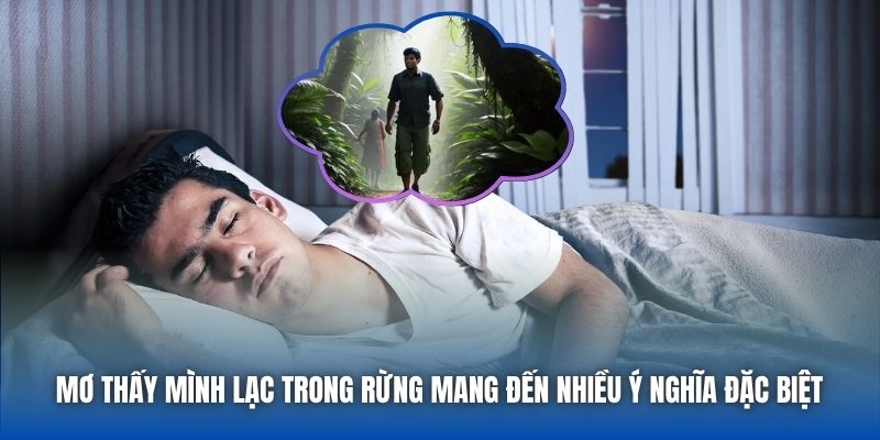 Mơ thấy mình lạc trong rừng mang đến nhiều ý nghĩa đặc biệt 